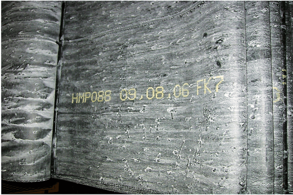 Drukarka pigmentowa do nadruku na surowej gumie