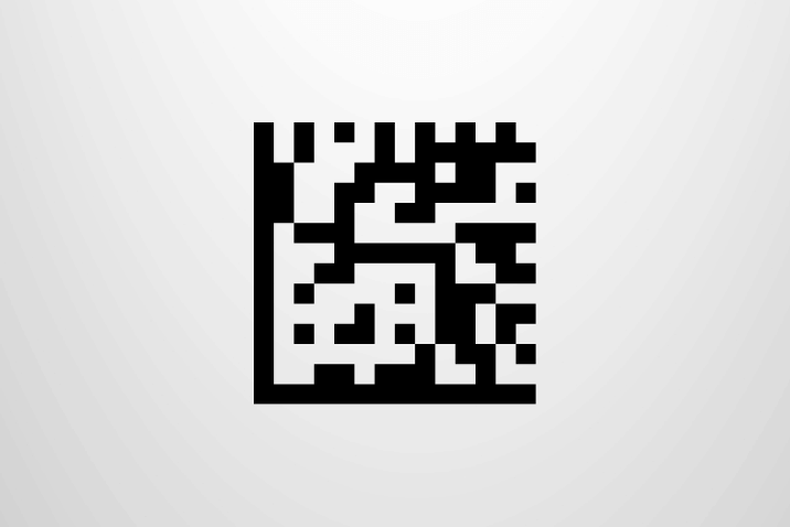 Schemat kodu Data Matrix z modułami i charakterystycznym wzorcem lokalizacyjnym w kształcie litery L.