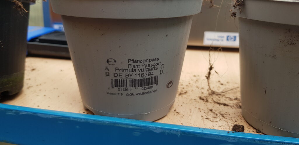 Paszport roślin nadrukowany na jasnej doniczce